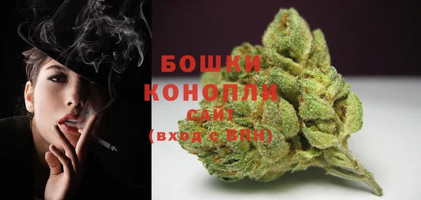 кокс Белокуриха