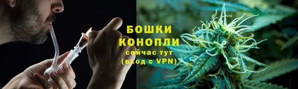 прущий лед Рославль