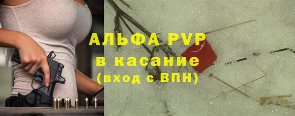 ешки Богданович